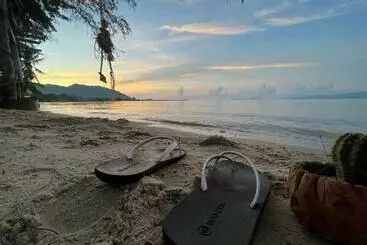 Kapselhotell Phangan Dream Box
