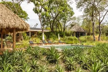 Thea Resort & Retreats   Santa Teresa