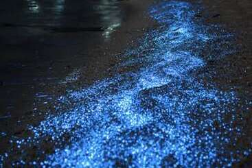 هتل Brisa Del Mar