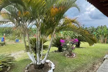 Bed and Breakfast Hacienda San Miguel Arcangel