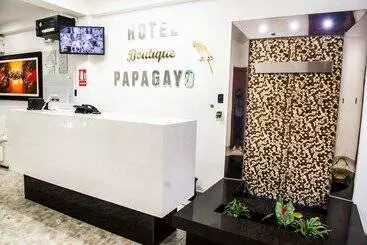 ホテル Boutique Papagayo