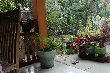 פנסיון Purple Flower