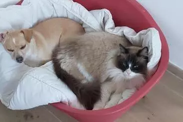 Aamiaismajoitus (B&B) Domaine De Codeval