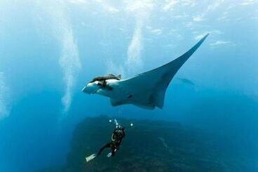 هتل Coco Ukulhas Villa