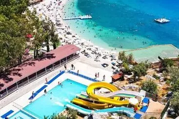 Alina Otel