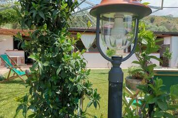 ペンション Baia Degli Ulivi