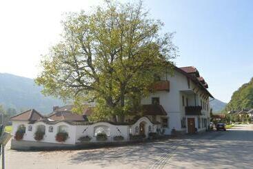 Отель Pension Hinterleithner