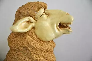 B&b Hoeve De Schapenkop