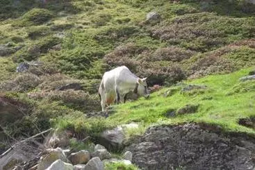Сельский дом Bauernhof Haus Neurauter
