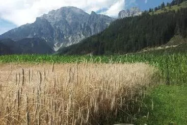 קוטג'' Bauernhof Zieferhof