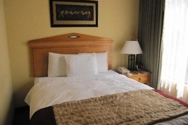 بيت ريفى Yellowstone Mountain Cabins