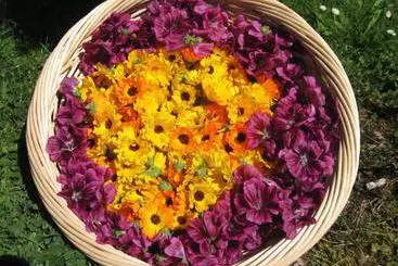 Отель Untermoos