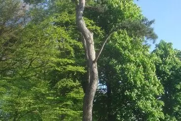 Hotelli Chateau De Janville