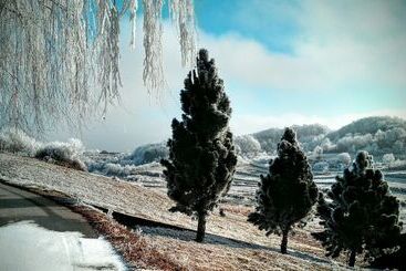 פנסיון Discover The Magic Of Nature