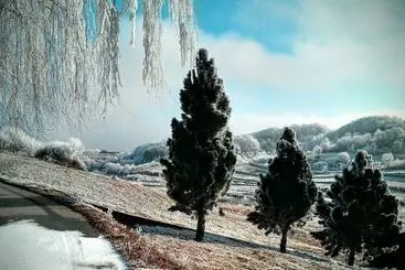 Pension Discover The Magic Of Nature