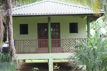 Hotel Inn The Bush Jungle Lodge