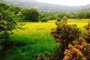 کلبه The Sidings