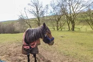 Casa Rural 1 Braeside