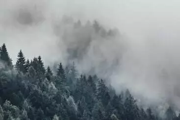 Hotel Sissi Suites Luxury Apartments