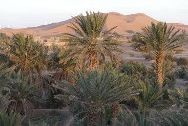 פנסיון Auberge Les Roches