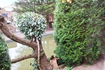 Сельский дом 9 Bancroft Place