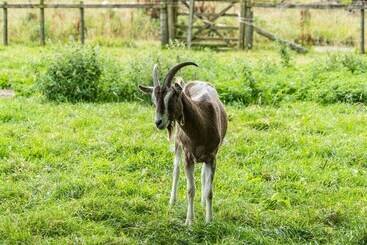 コテージ Hay Barn