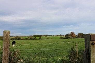 بيت ريفى Sea Lily