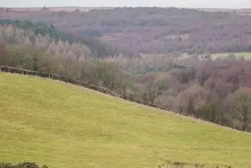 コテージ The Old Robin Hood