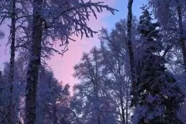 ペンション Meandering Moose Lodging