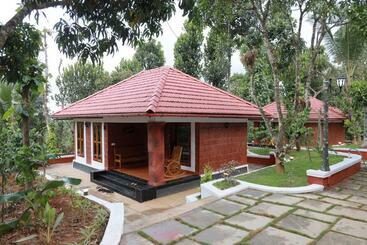 Bed and Breakfast Miracle Holidays