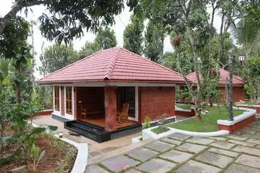 Bed and Breakfast Miracle Holidays