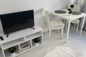 Turistihuoneistot Victoriei Central Studio