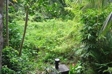 تختخواب و صبحانه Jungle Fence