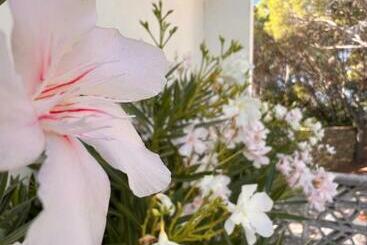 דירות לתיירים A Casa Di Ludo