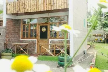 ユースホステル Arusha Jua Home