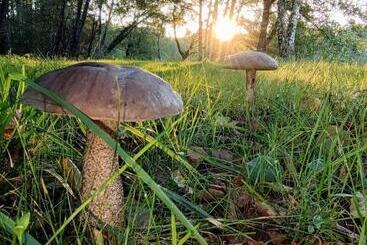 민박 Domaine Du Castellare