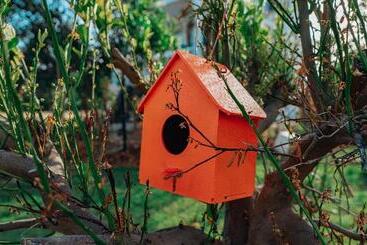 Aparthotel Palmiye Otel Evleri