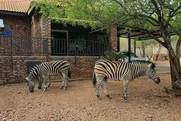 Appartamenti turistici Ukweza Guest House