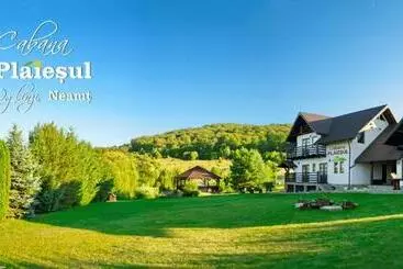 Appartamenti turistici Cabana Plăieșul