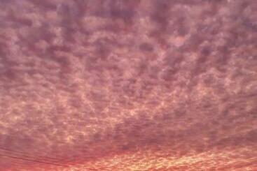 Apartamentos turísticos Marlee Cottage