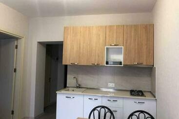 Apartamentos turísticos 1 Bedroom Appartment In The Centre Of Bakuriani 3