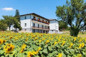 Bed and Breakfast Gasthof Pension Wein