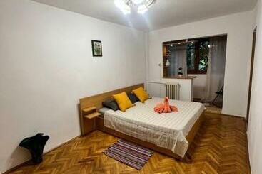 דירות לתיירים Miha Modern And Central Apartament Malul Mureșului