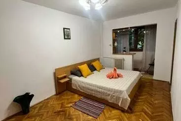 آپارتمان‌های توریست‌ها Miha Modern And Central Apartament Malul Mureșului