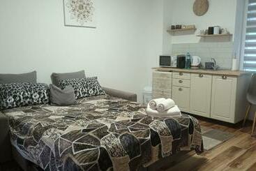 Tourist flats Cezar Home Studio Sibiu