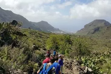 ツーリストアパートメント Chinyero Path