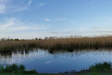 Apartamenty turystyczne Vízparti Rózsa Vendégház