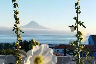 ツーリストアパートメント Magma Rral3529