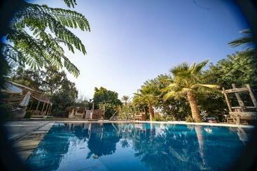 پانسیون Tzila Lodge