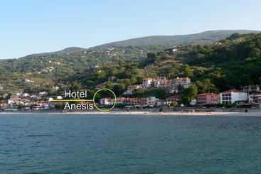 Отель Anesis
